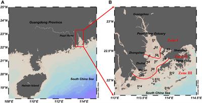 Categorizing numeric nutrients criteria and implications for water quality assessment in the Pearl River Estuary, China